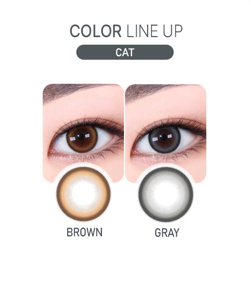 Gleam Cat Gray color line up
